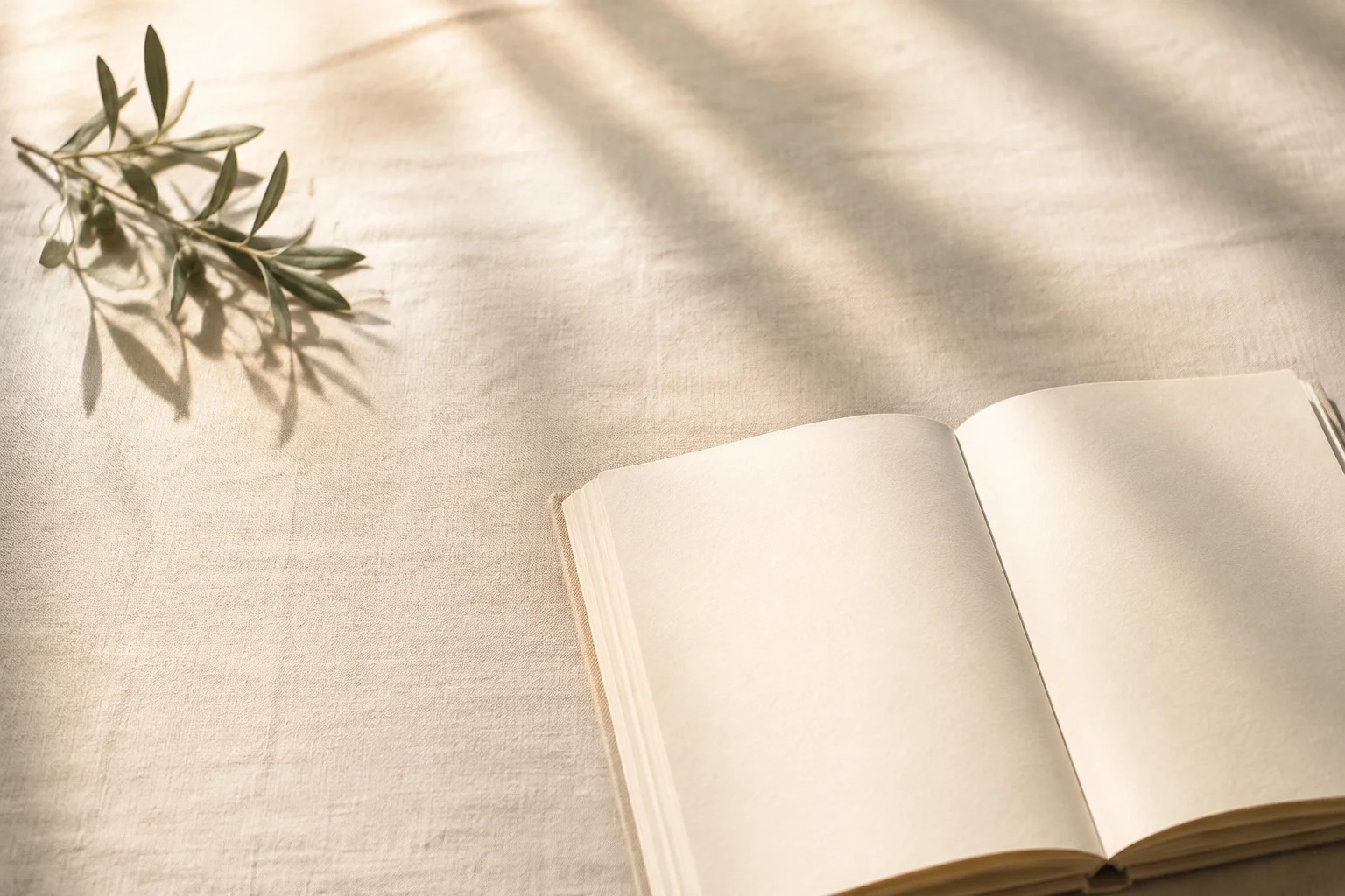 An open linen notebook and olive branch in soft afternoon light